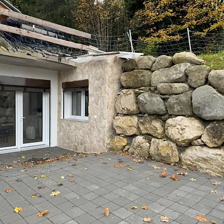 Antre De La Force Villa Les Paccots Exterior photo